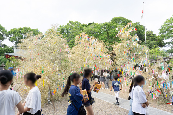 機物神社 七夕 20250706-57