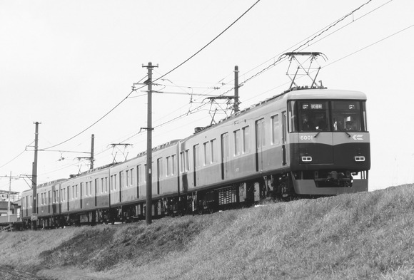 275900271_1013951892539701_4384209269973012453_n