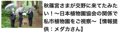 スクリーンショット 2019-06-14 0.09.10