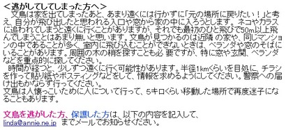 文鳥を逃がしてしまった方へ