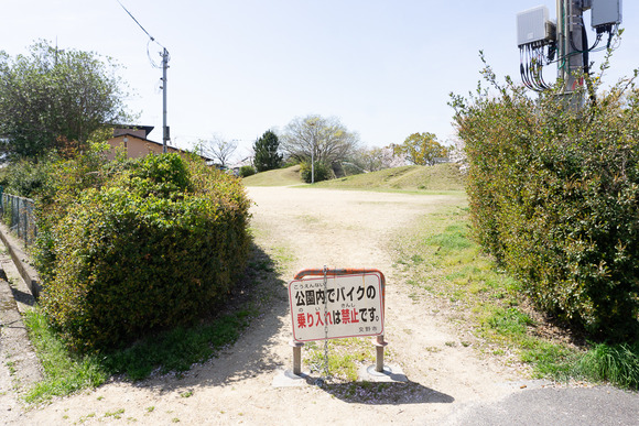 妙見東中央公園 202404103
