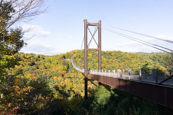 ほしだ園地 20241130-51