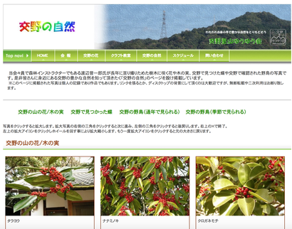 スクリーンショット 2019-05-08 23.45.22