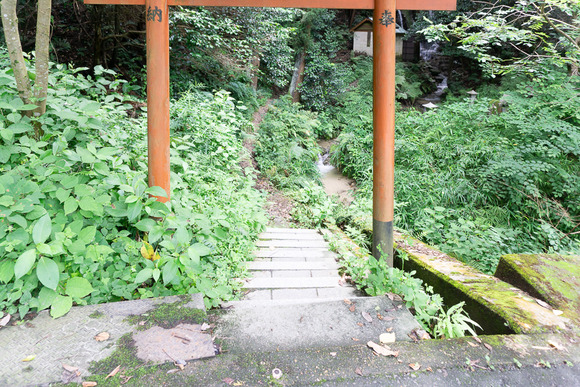 磐船神社近くの滝 202407033