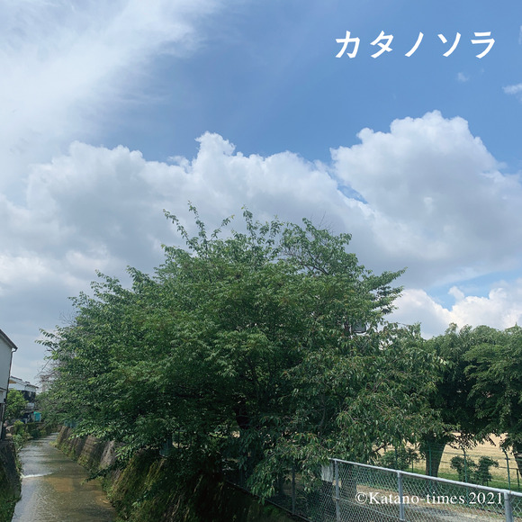 0_カタノソラフォーマット_アートボード 1