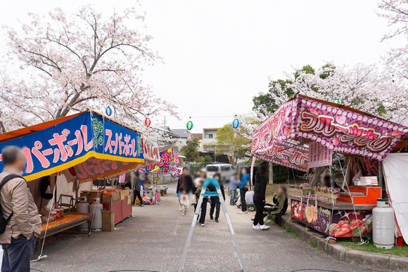妙見河原の桜 20250405-35