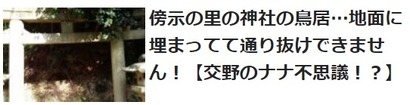 交野のナナ不思議