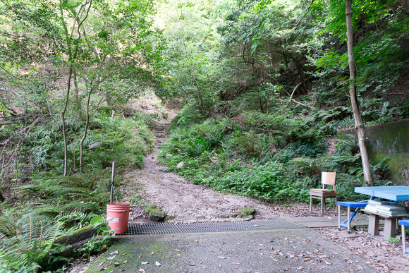 ほしだ園地 ハイキング 2024061639