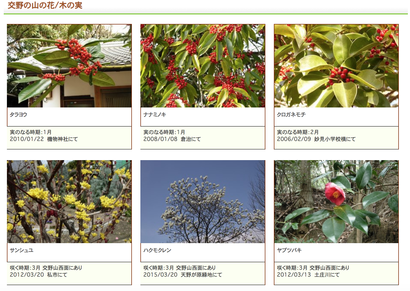 スクリーンショット 2019-05-09 23.37.13