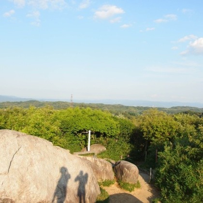 image010