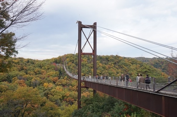 星のブランコ 20251124-4