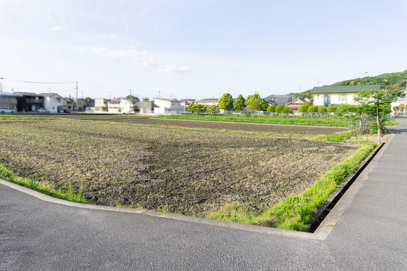 私市の田んぼ 20250508-7