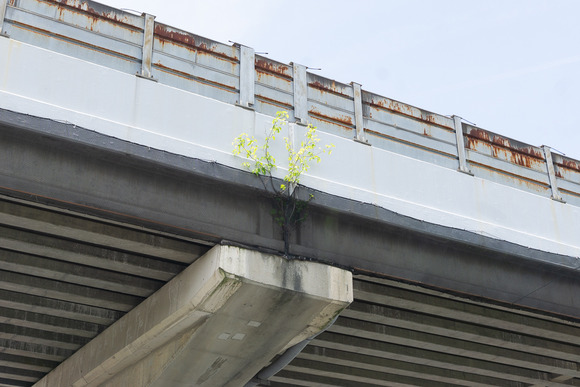 梅が枝交差点 202406191