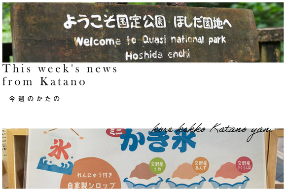 今週のかたの2023