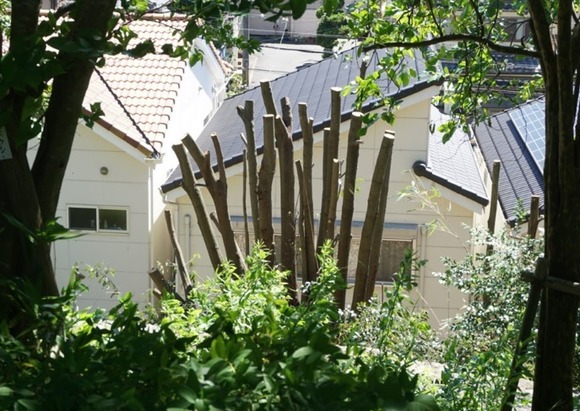 星田公園 20240705-3