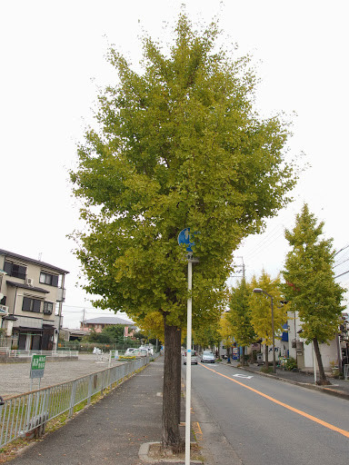 PB061448
