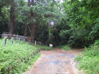 P7137678
