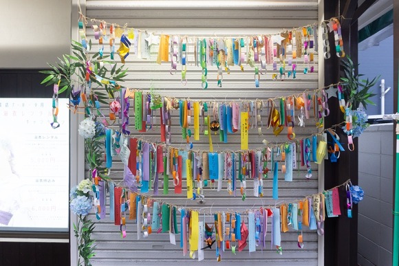 モリワキ 七夕 20240630-1