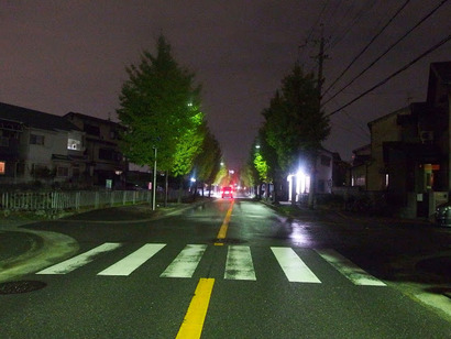 PB061531