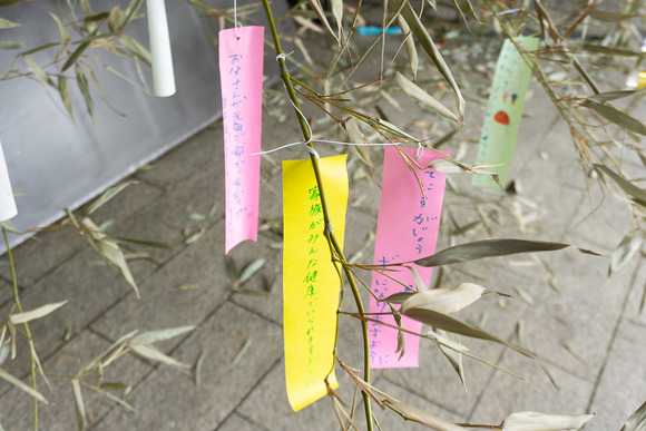 寝屋川公園 20250615-7