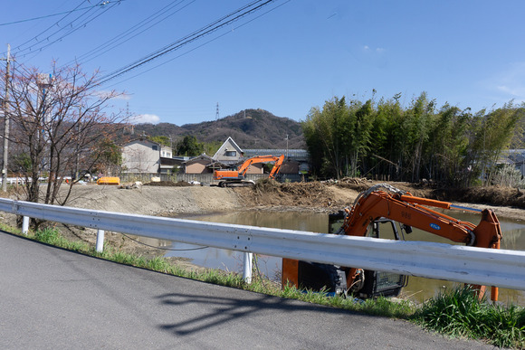 私部8丁目の池 202403275