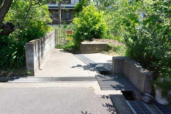 私市の用水路 2024052112