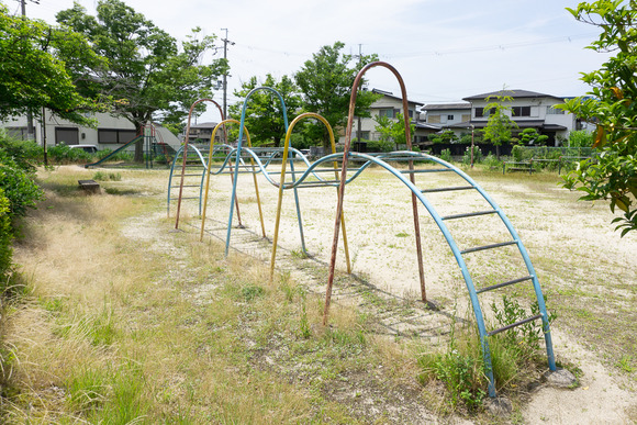 天野が原東公園　202406196