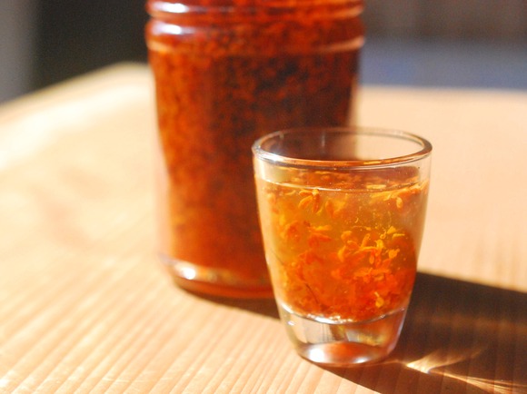 251362749_603865420749997_3142223065688722420_n