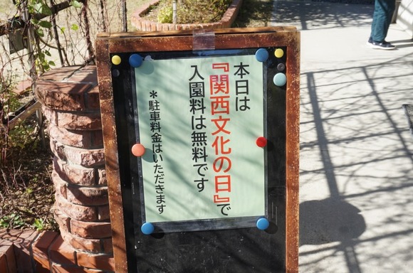 大阪公立大学附属植物園 20251118-5