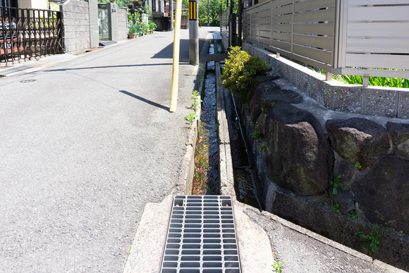 私市の用水路 2024052111