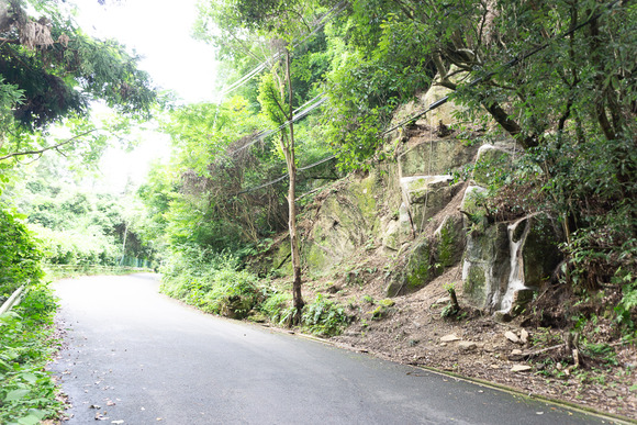 磐船神社近くの崖202407031