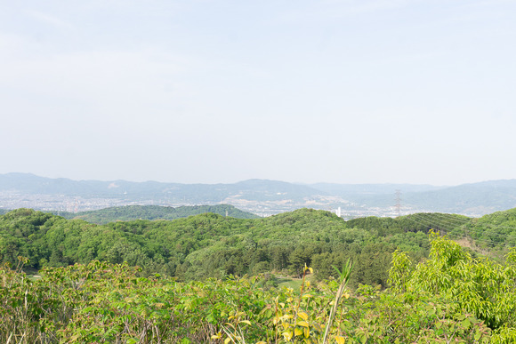 交野山 20250503-28
