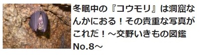 交野いきもの図鑑