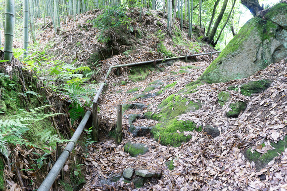 龍王山 2024062125