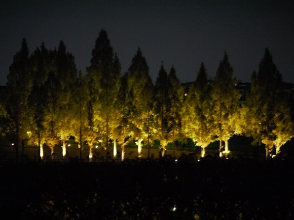 月見とランタンの夕べ 20241115-7