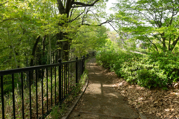 日高山の登山 202404174