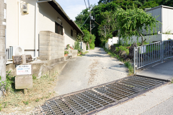 ほしだ園地 ハイキング 2024061612