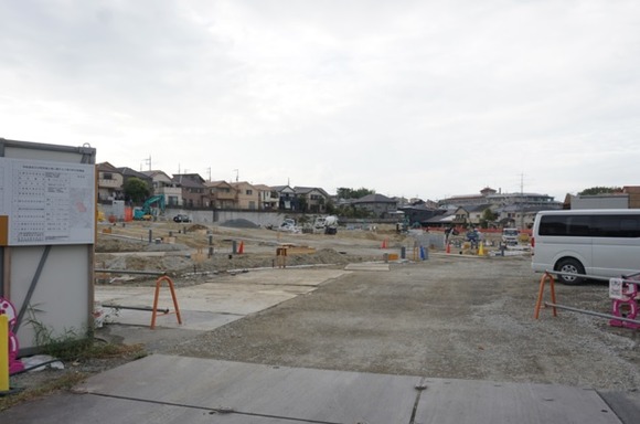 南星台 崖 20251018-7