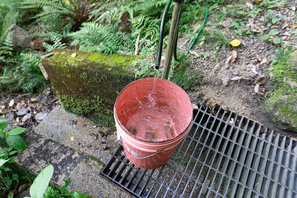 ほしだ園地 ハイキング 2024061640