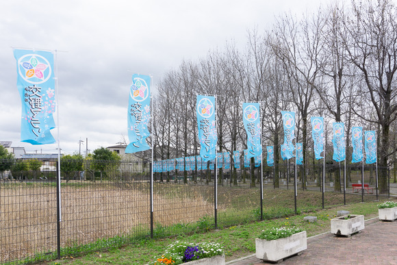 交野マラソン 202404042