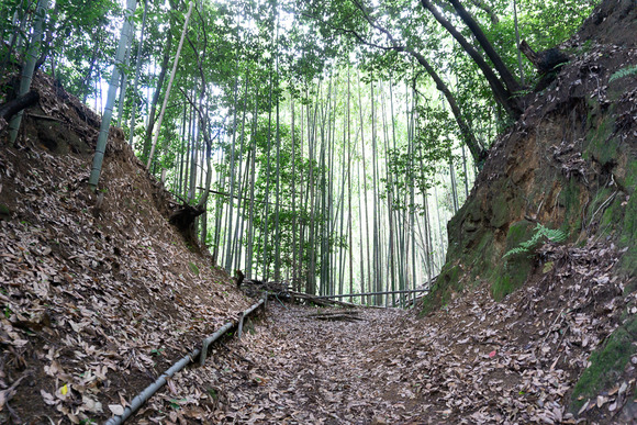 龍王山 2024062133