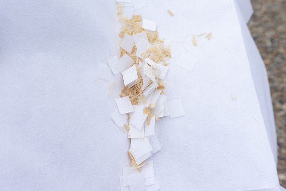 住吉神社 茅の輪くぐり 202406309