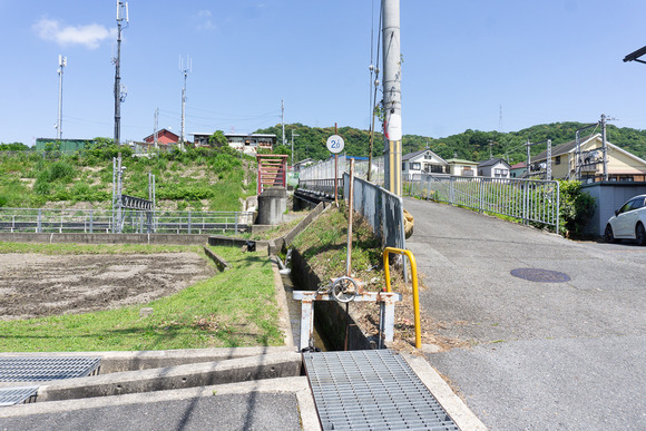 私市の用水路 202405213