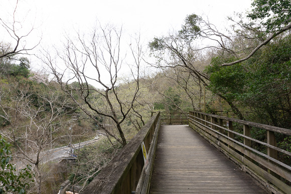 ほしだ園地 2024040911