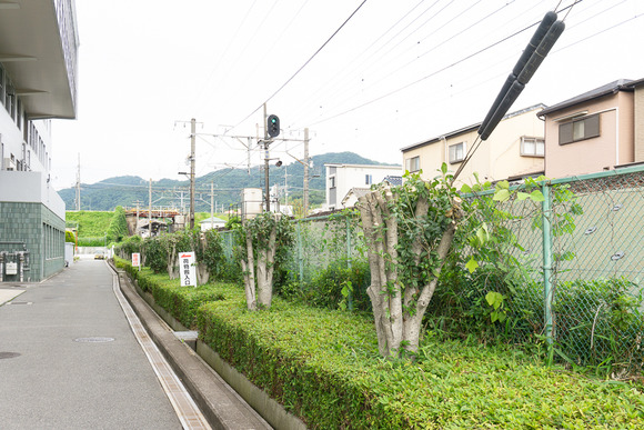 ゆうゆうセンター 20250615-4