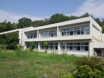 a1