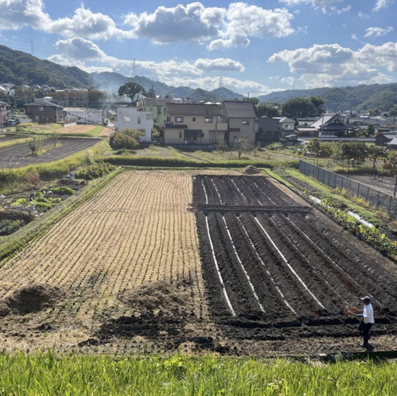 スクリーンショット 2022-11-24 18.26.35