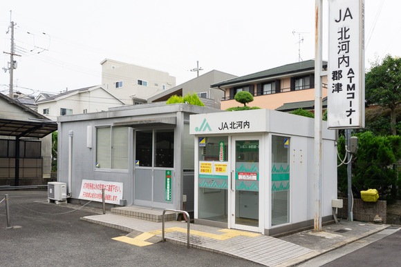 JA北河内 郡津 202406206