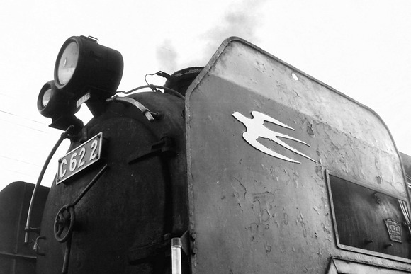 337641172_885635642544917_6515134055183915034_n