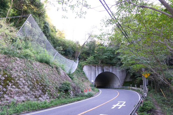 磐船トンネル横の崖 20240919-3